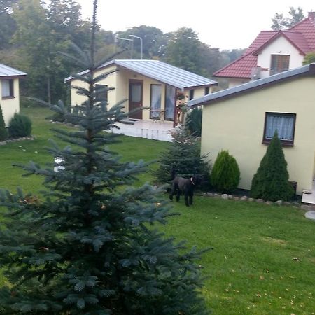 Villa Domki Letniskowe W Wapnicy à Lubin  Extérieur photo